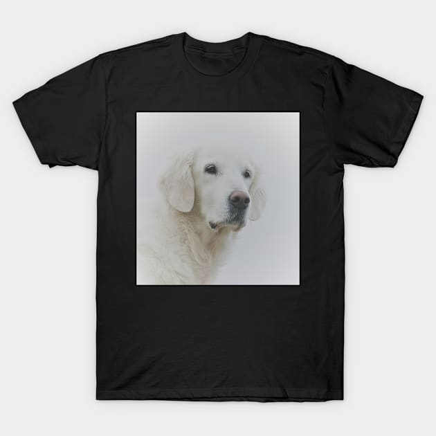 Portrait of an old beautiful lovable lady T-Shirt by Trine